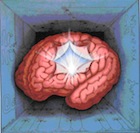 An illustration of a brain.