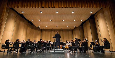 chamber orchestra