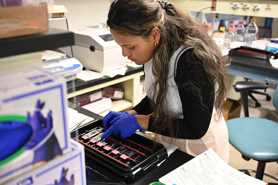 Caption: University of Rochester student working on her research project.