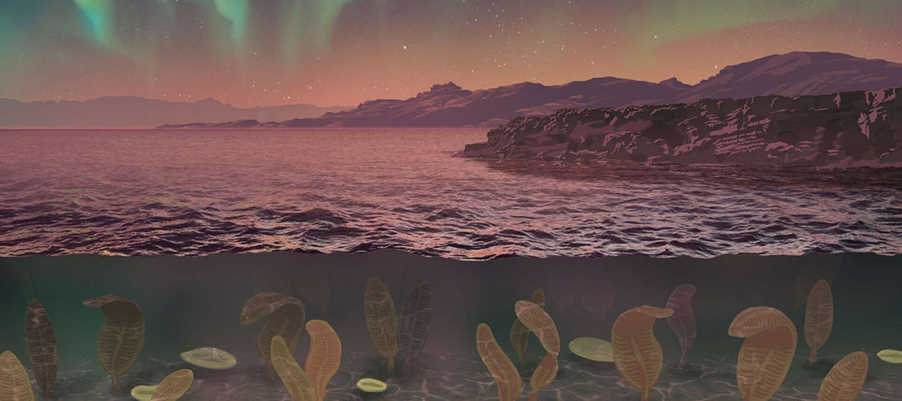 Illustration of a cross-section of the ocean featuring Ediacaran fauna, including Dickinsonia, under water while an aurora shines in the sky.
