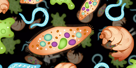 Colorful illustrations of bacteria and other microscopic pathogens.