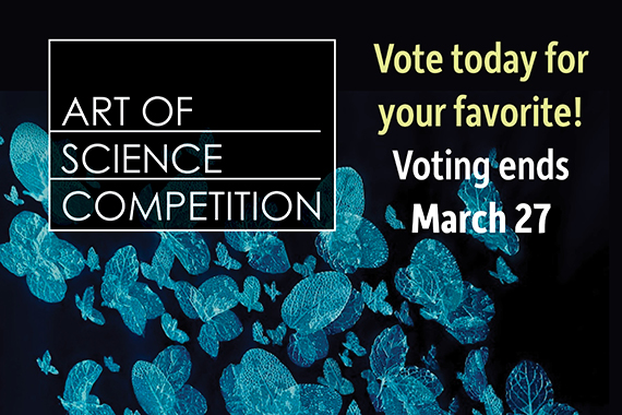 A graphic with green illustrations of butterflies in the background that says, "ART OF SCIENCE COMPETITION Vote today for your favorite! Voting ends March 27"