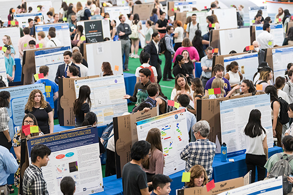 A large crowd of discusses research outlined on posters at the Undergraduate Research Exposition.
