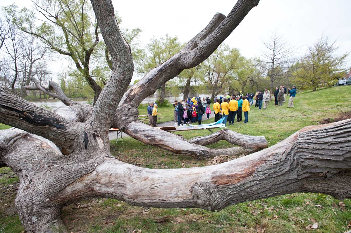 students surround the tree of life during Arbor Day ceremony