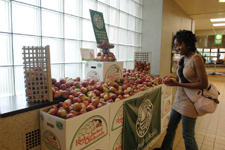 student looking at large display of NY state apples