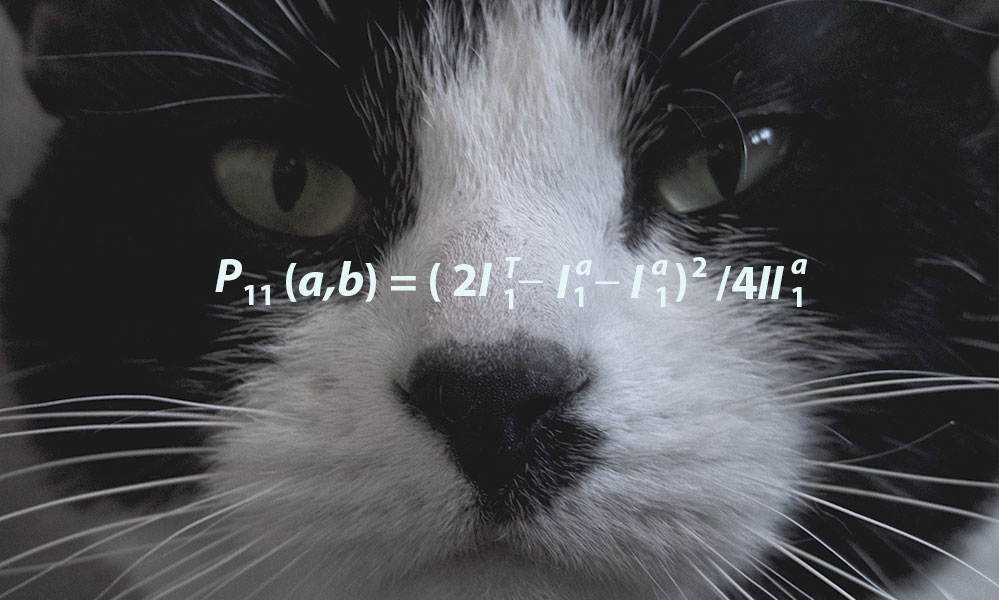 extreme      close-up of a cat with a mathematical formula printed on its face