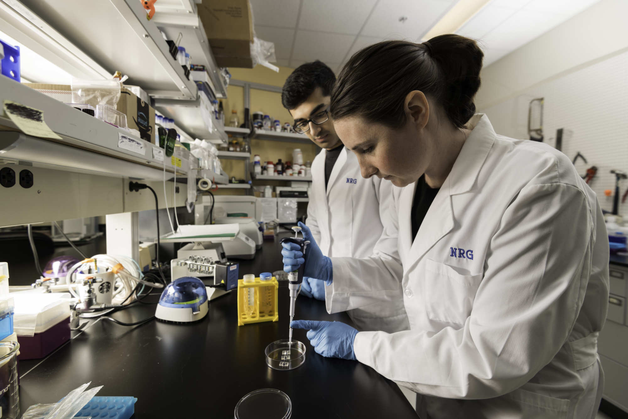 Two graduate students in lab coats work at a bench assembling components for the kind of tissue-on-chip technology being developed by TraCe-bMPS scientists.