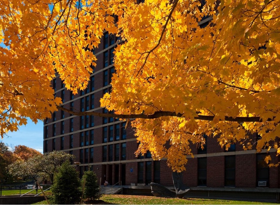 An exterior view of a campus building through leaves and trees.