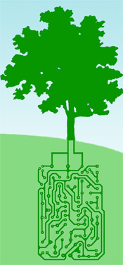graphic of tree with digital roots