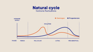 Graph depicting the fluctuation of estrogen and progesterone levels through the phases of the menstrual cycle