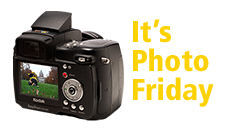 It's Photo Friday