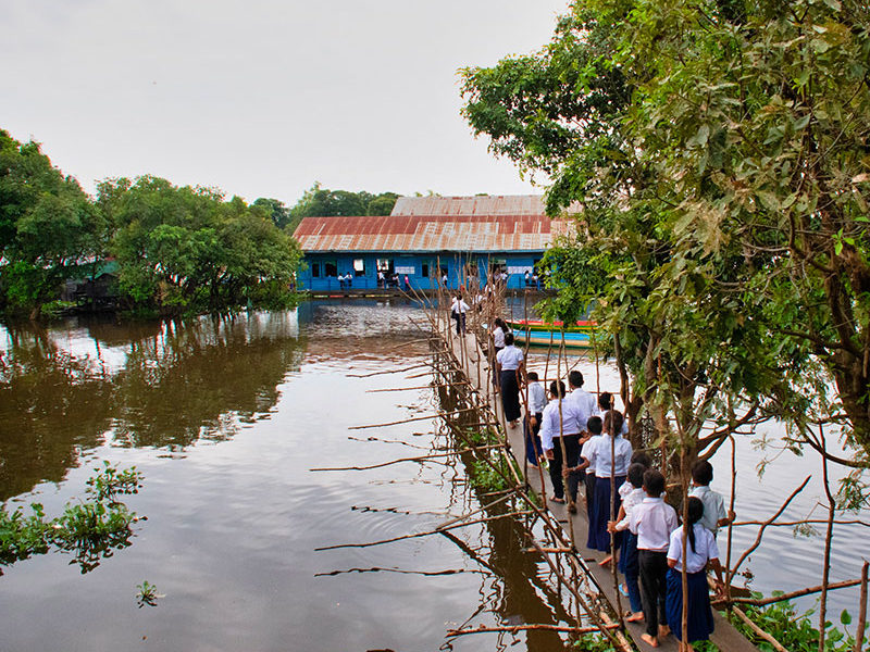 The bridge between schools