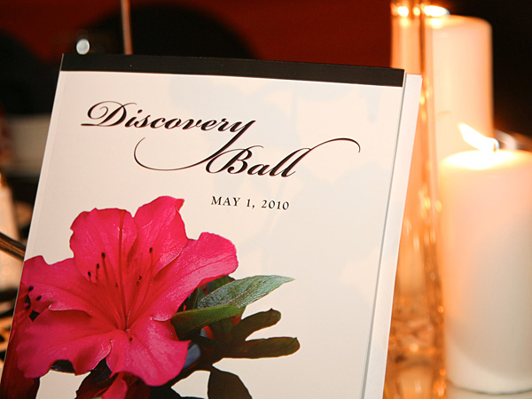 Discovery Ball