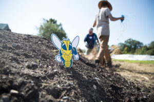 Rocky mascot paper stuck in dirt with volunteers working the the background