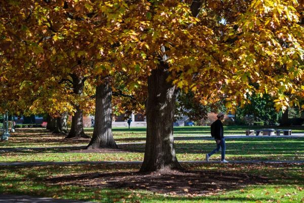 A student walking around outdoors on a college campus during a fall day.