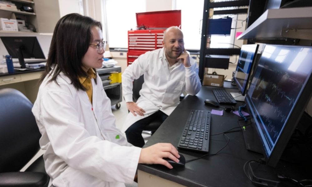 Chen Li, a graduate student in the Brian and Cognitive Sciences program at the University of Rochester, works with Ian Fiebelkorn, an Assistant Professor in the Department of Neuroscience at his lab in the School of Medicine and Dentistry at the University of Rochester Medical Center August 29, 2023. Li is an alumnus of NEUROCITY, a Del Monte Institute for Neuroscience Diversity Commission pathway program.// photo by J. Adam Fenster / University of Rochester