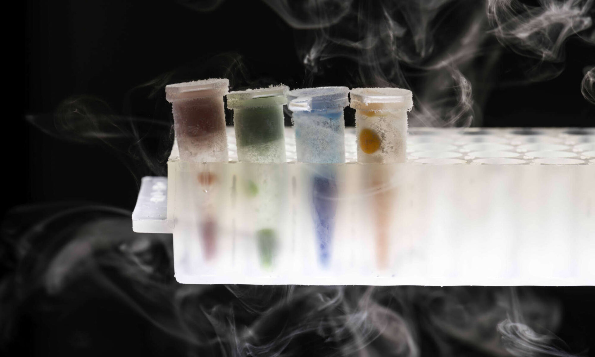 Four tubes, each a different color, containing hydrogels frozen in liquid nitrogen and obtained via 3d bioprinting.