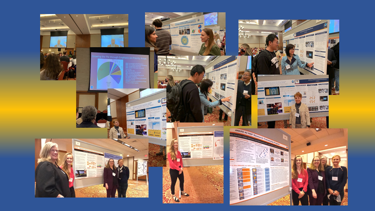 A collage of photos from the event.