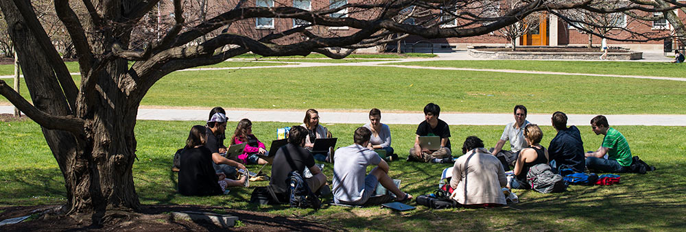 a group of students study under a tree on Eastman Quad