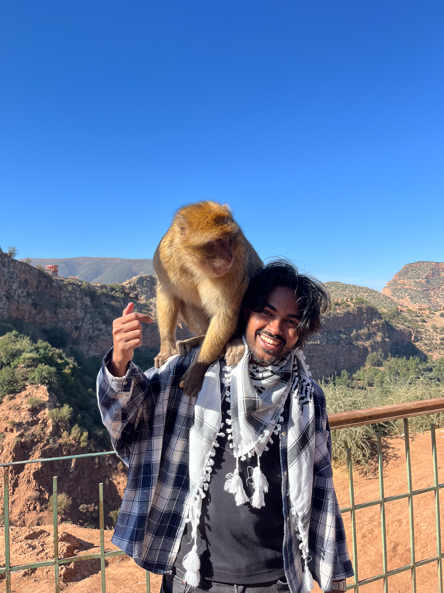 monkey on a shoulder