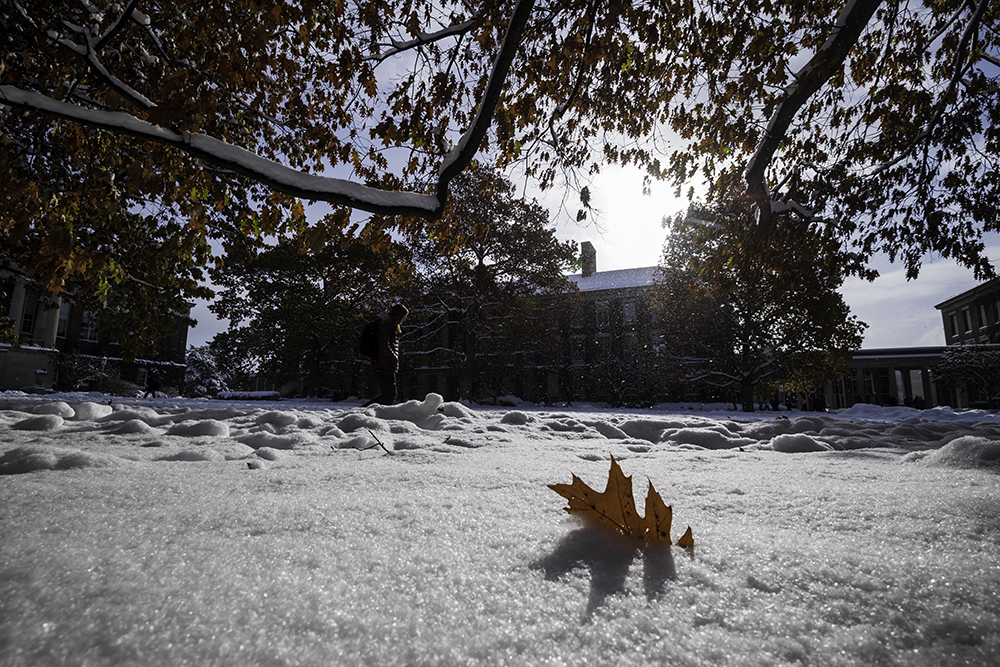A leaf fallen on the quad after a snowfall.