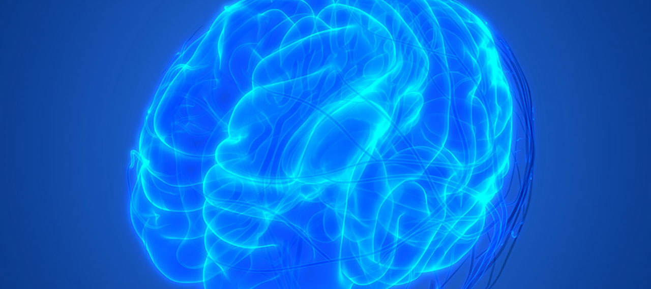 3D computer image of brain showing circulatory anatomy.
