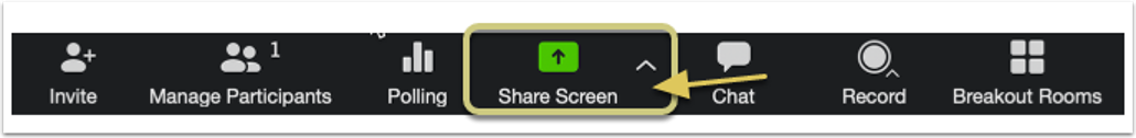 A screenshot of the share screen button.