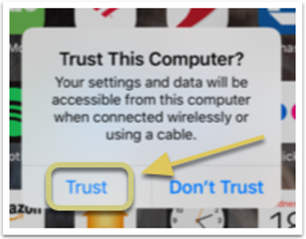 A screenshot of the trust this computer button.