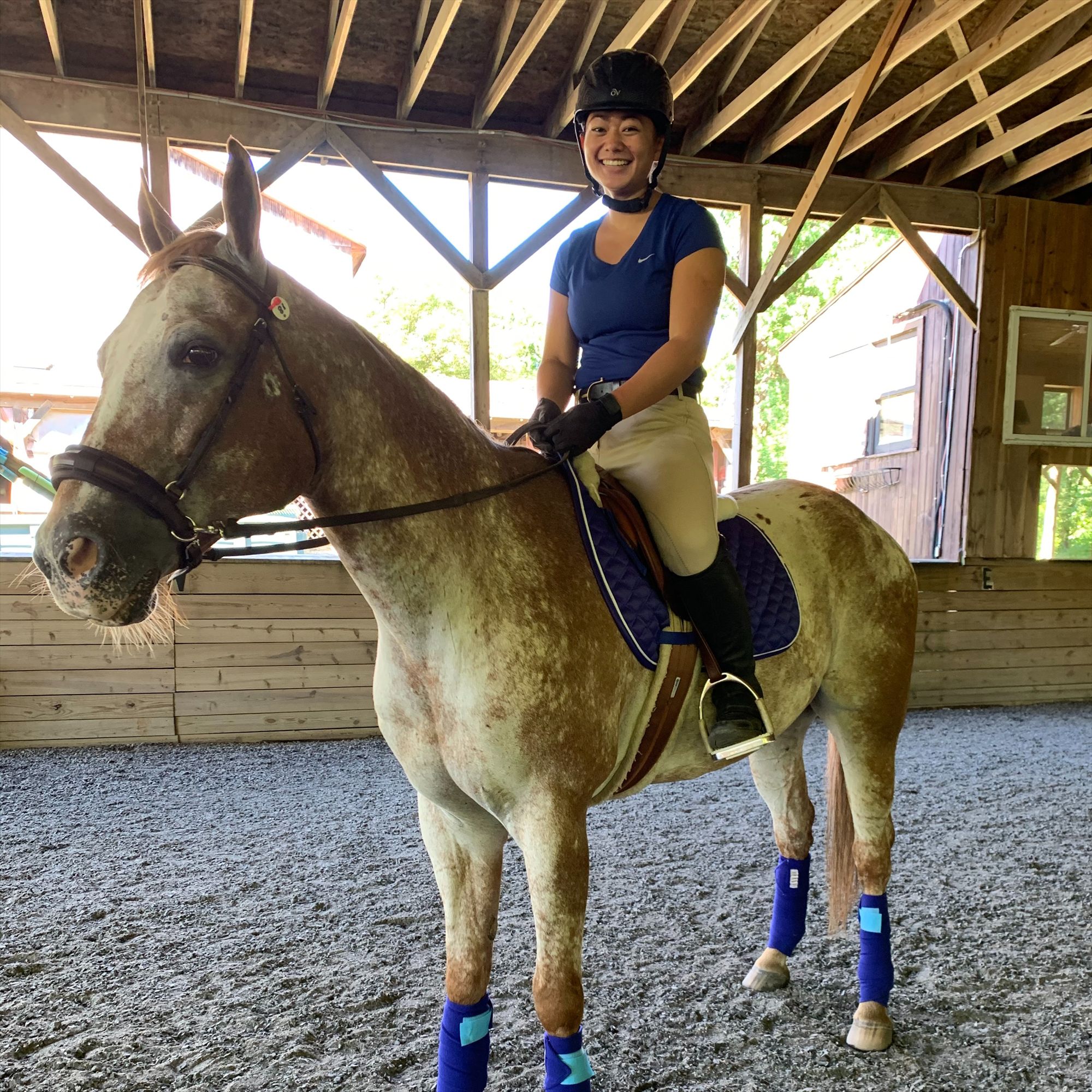 Equestrian member on a horse.