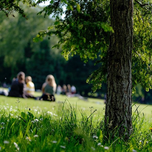 Greenery with students out of focus in the background