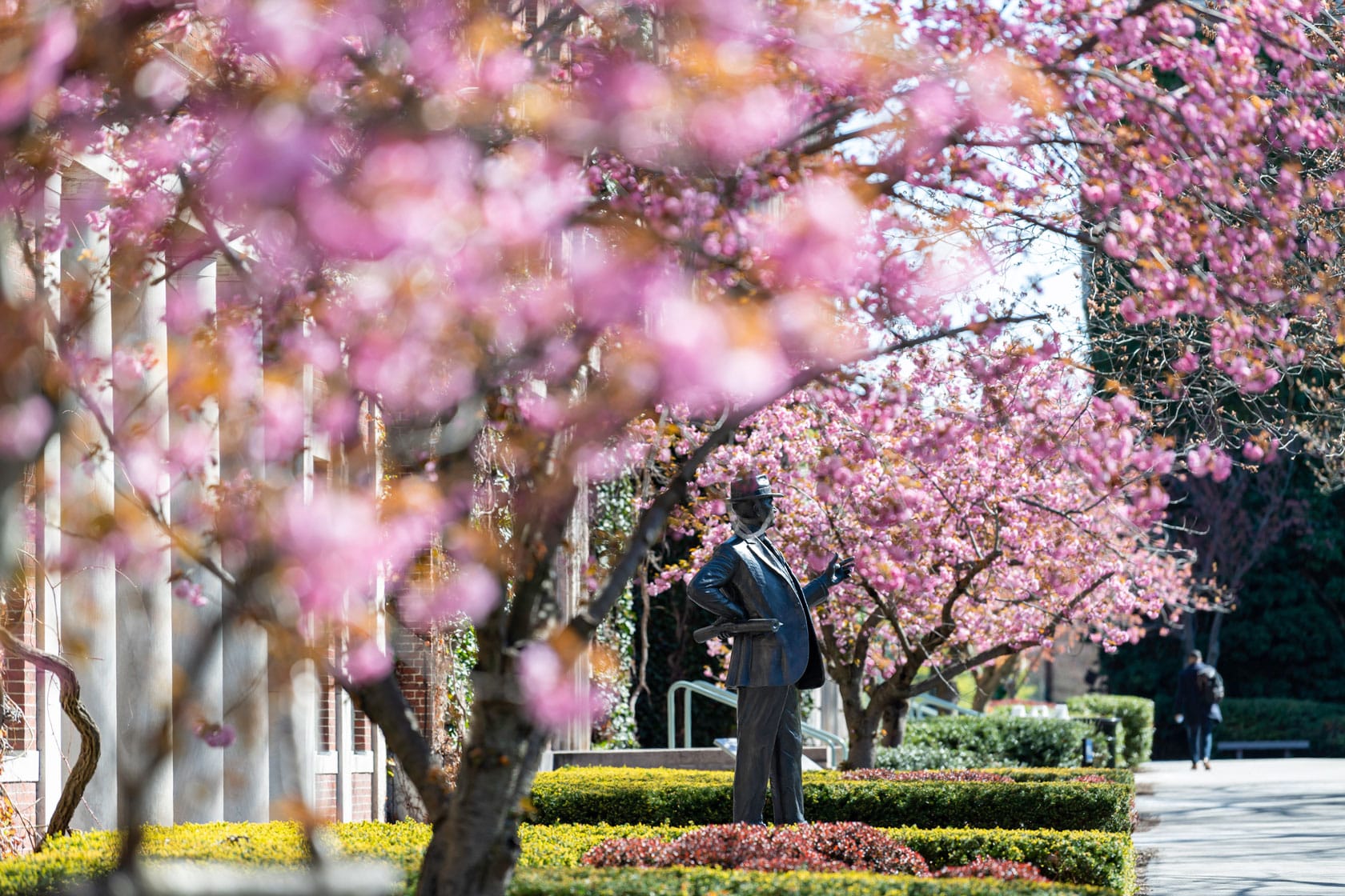 The George Eastman statue is seen through flowering trees on Eastman Quad April 26, 2021. // photo by J. Adam Fenster / University of Rochester