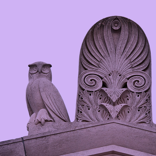 owls status on the library