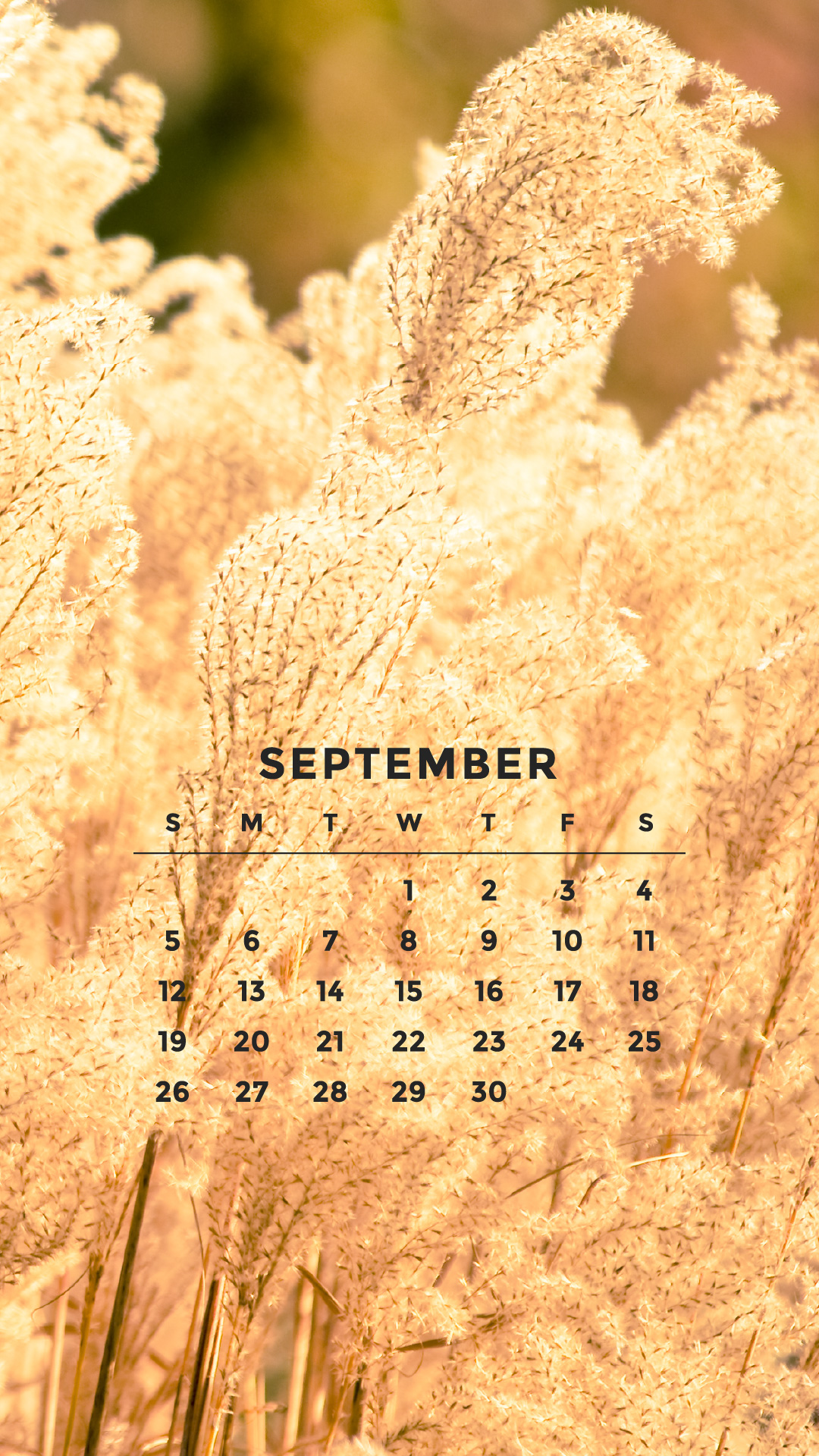 FREE DOWNLOAD Tech Wallpapers for September  Erica the Illustrator