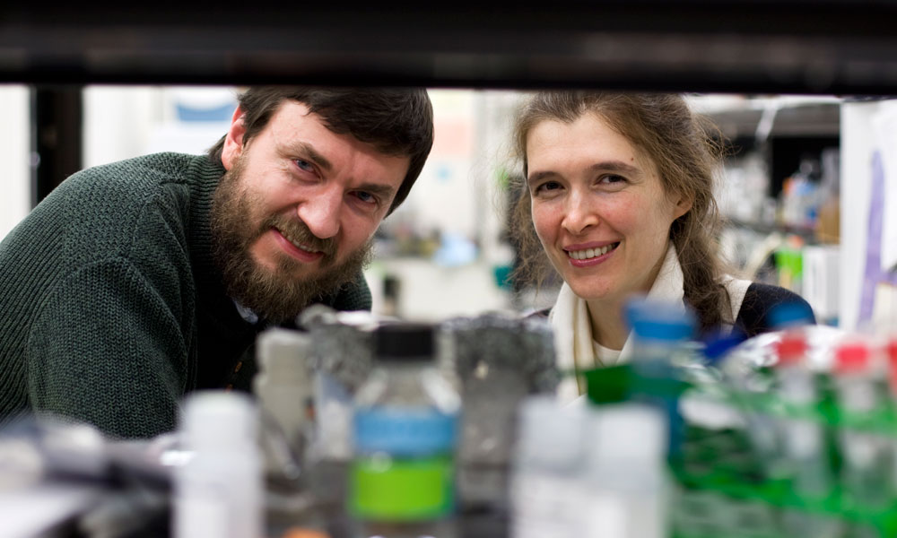 Vera Gorbunova and Andrei Seluanov in their lab