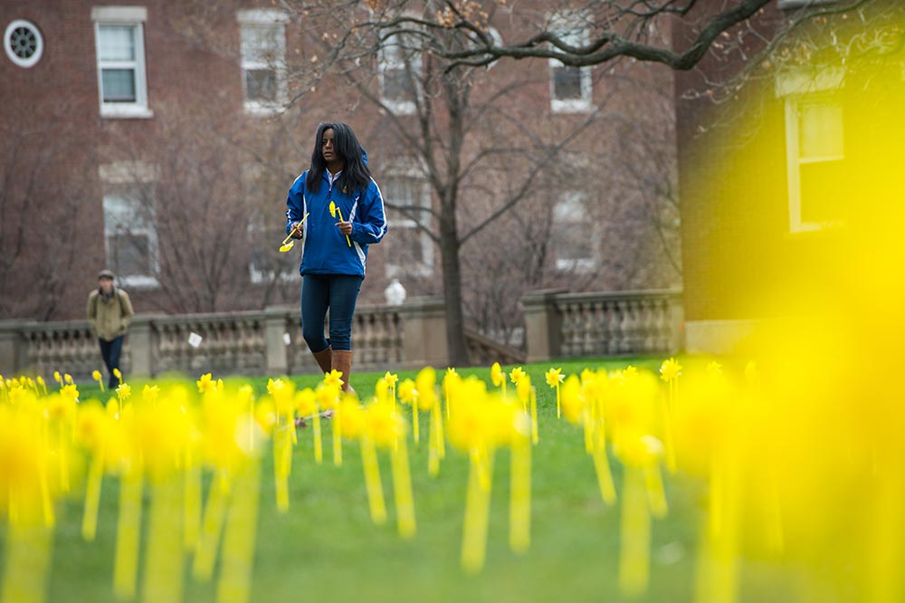 student walking, surrounded by yellow pinwheels