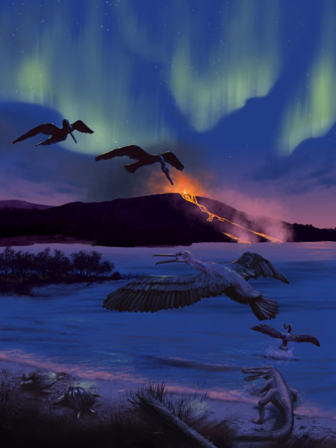 An artist’s rendering of the bird’s possible environment 90 million years ago, characterized by volcanic activity, a freshwater bay, turtles, fish, and champsosaurs