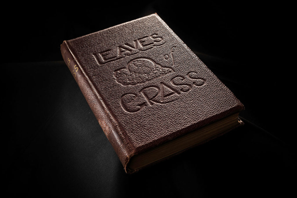 Cover of LEAVES OF GRASS by Walt Whitman