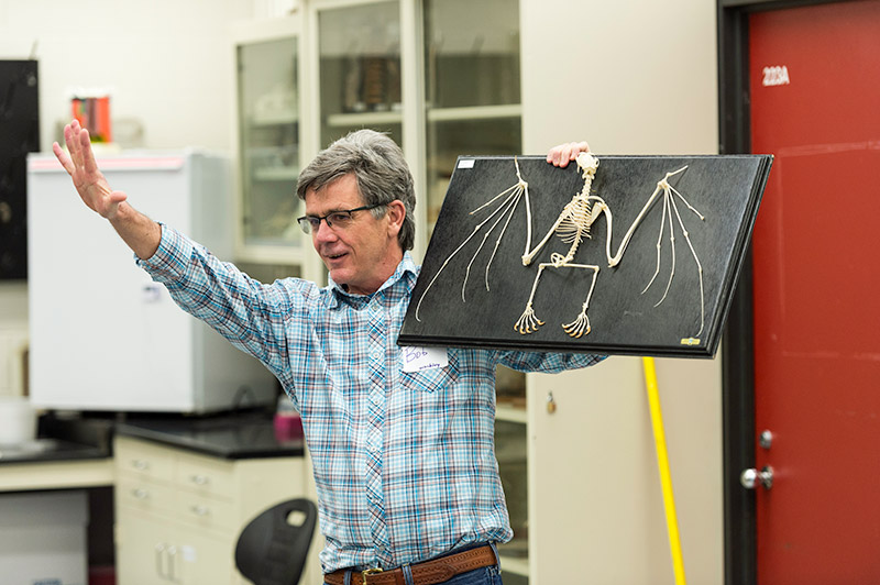 professor holds up skeleton of a bat
