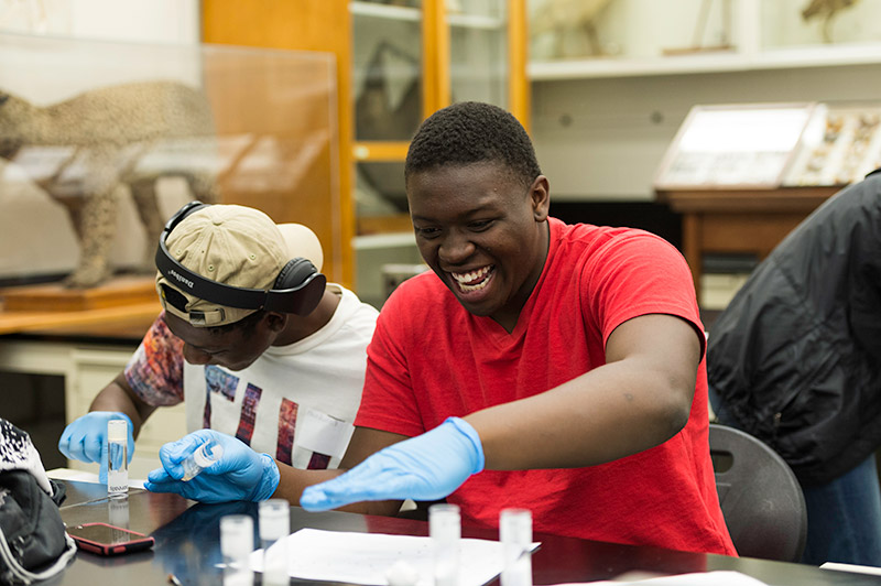 student laughs while working with fruit fly vials