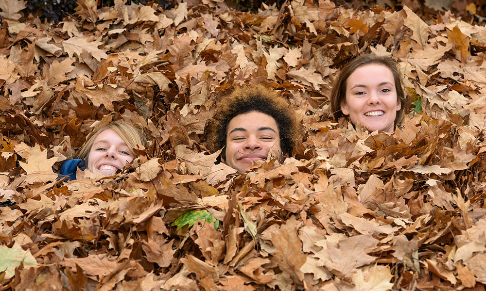 three students in pile of leaves