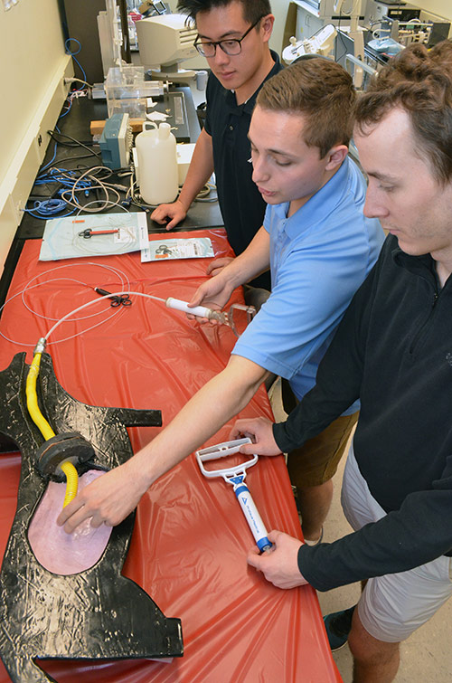 three students examine a model of an intubated dog