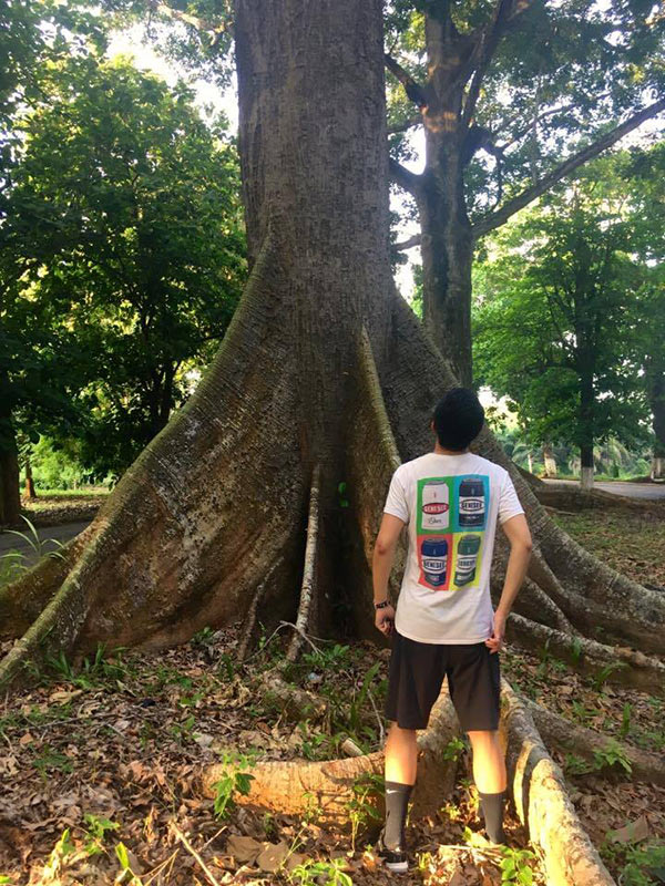 view of young man looking up trunk of a tree with massive roots