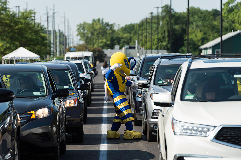 Rocky yellowjacket mascot with cars