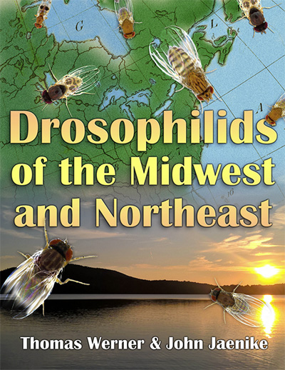 book cover with text that reads DROSOPHILIDS OF THE MIDWEST AND NORTHEAST