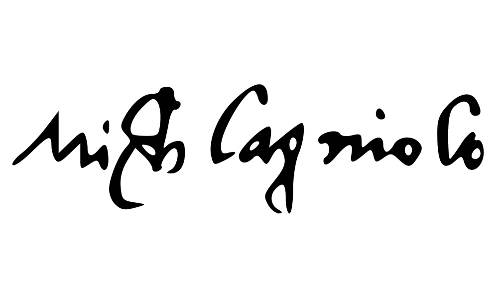 Michelangelo signature