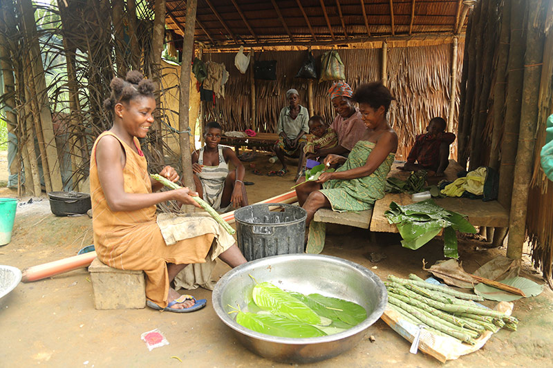 women preparing a meal with large leafy vegetables