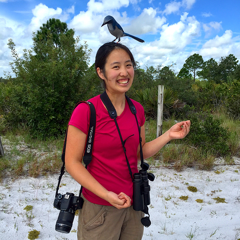 Nancy Chen, cameras slung around her shoulders, poses as a scrub jay bird lands on her head.