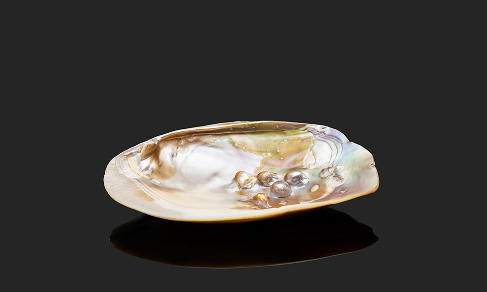 shell made of mother of pearl