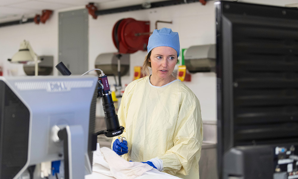 woman in scrubs works in lab