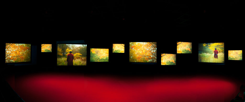 art installation Lessons of the Hour features a row of ten video screens of different sizes containing images of Frederick Douglass walking through autumn trees